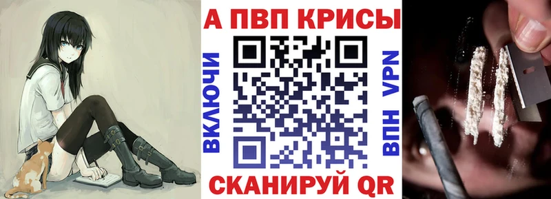 сайты даркнета телеграм  mega tor  Alpha PVP СК КРИС  Нижний Ломов  даркнет сайт 