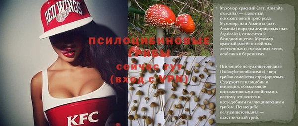 хмурый Балабаново