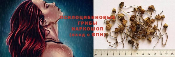 ПСИЛОЦИБИНОВЫЕ ГРИБЫ Пересвет